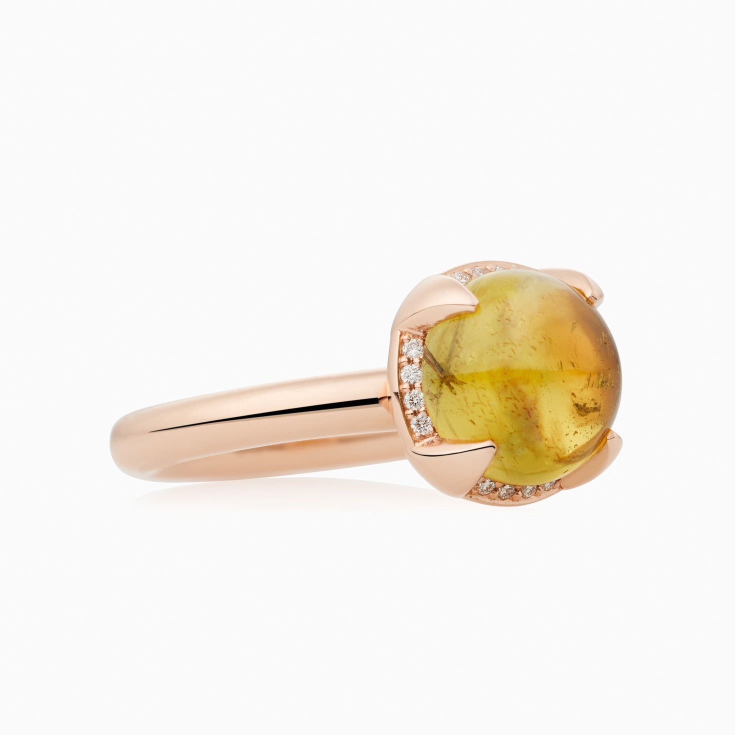 Catch Ring Catch Ring