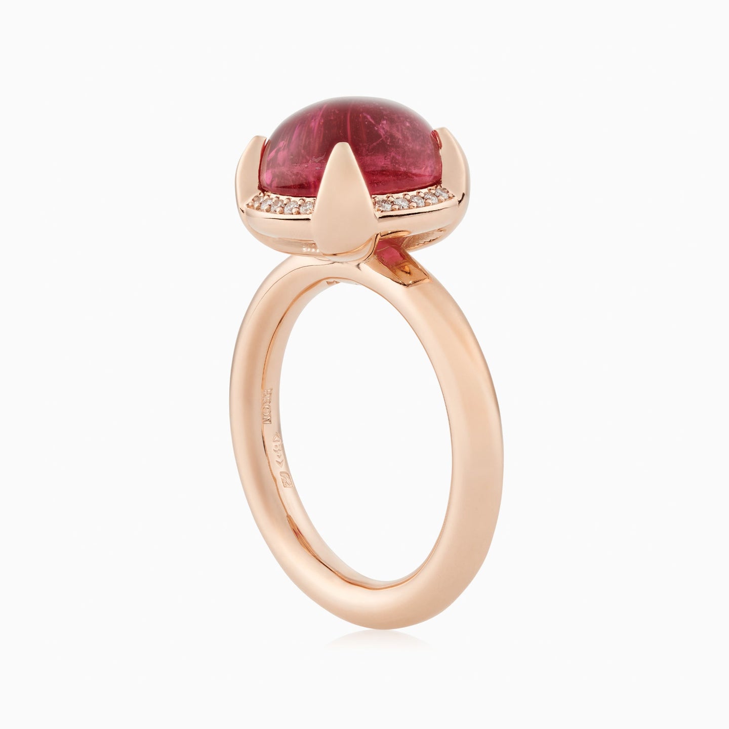 Catch Ring Catch Ring